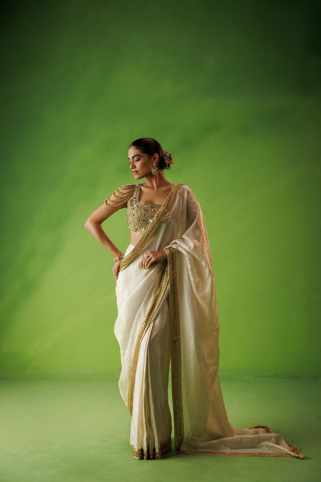 Beige tissue stone embelliished saree set